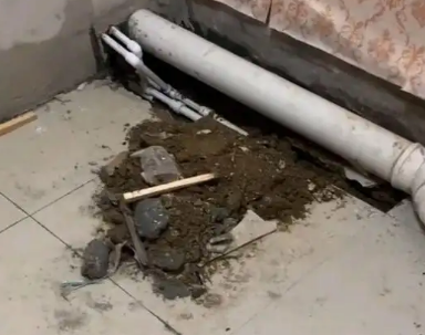 岐山卫生间漏水检测哪家好