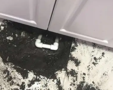 岐山查漏水哪家好